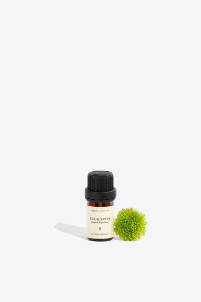 Huile essentielle dEUCALYPTUS